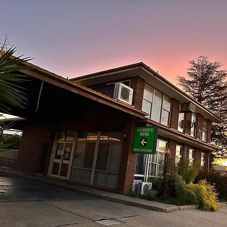 The Shamrock Hotel Белренелд Екстер'єр фото